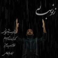دانلود آهنگ ز نو بهار امیر بهمن